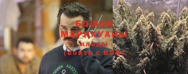 спайс Верея
